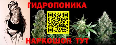 apvp Ливны