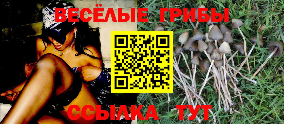 Воронеж  Галлюциногенные грибы MAGIC MUSHROOMS  Вход с VPN 